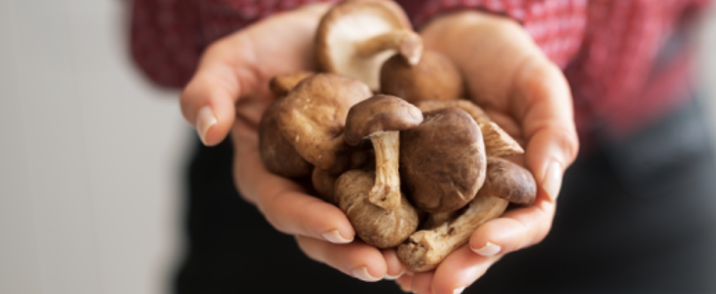 variety of mushrooms