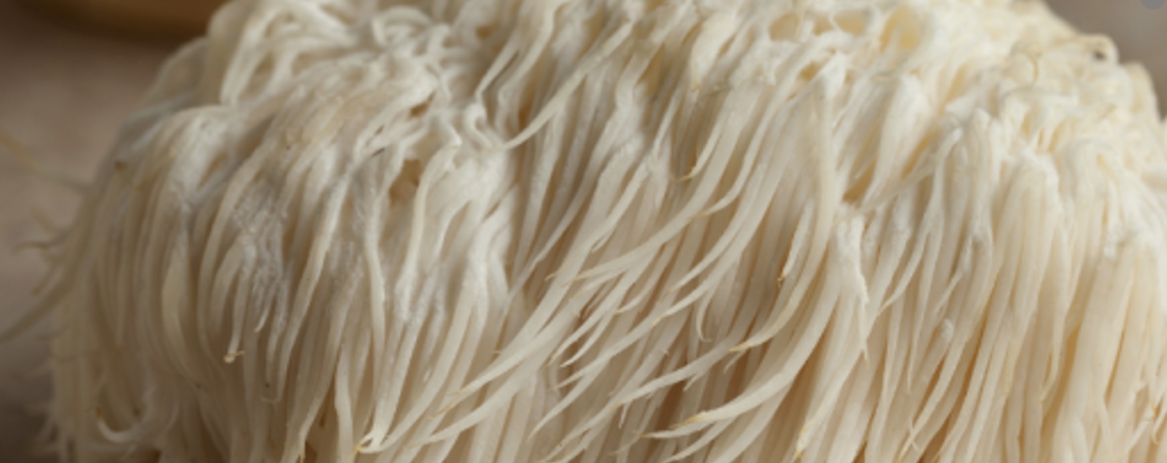 Lions Mane Mushrooms