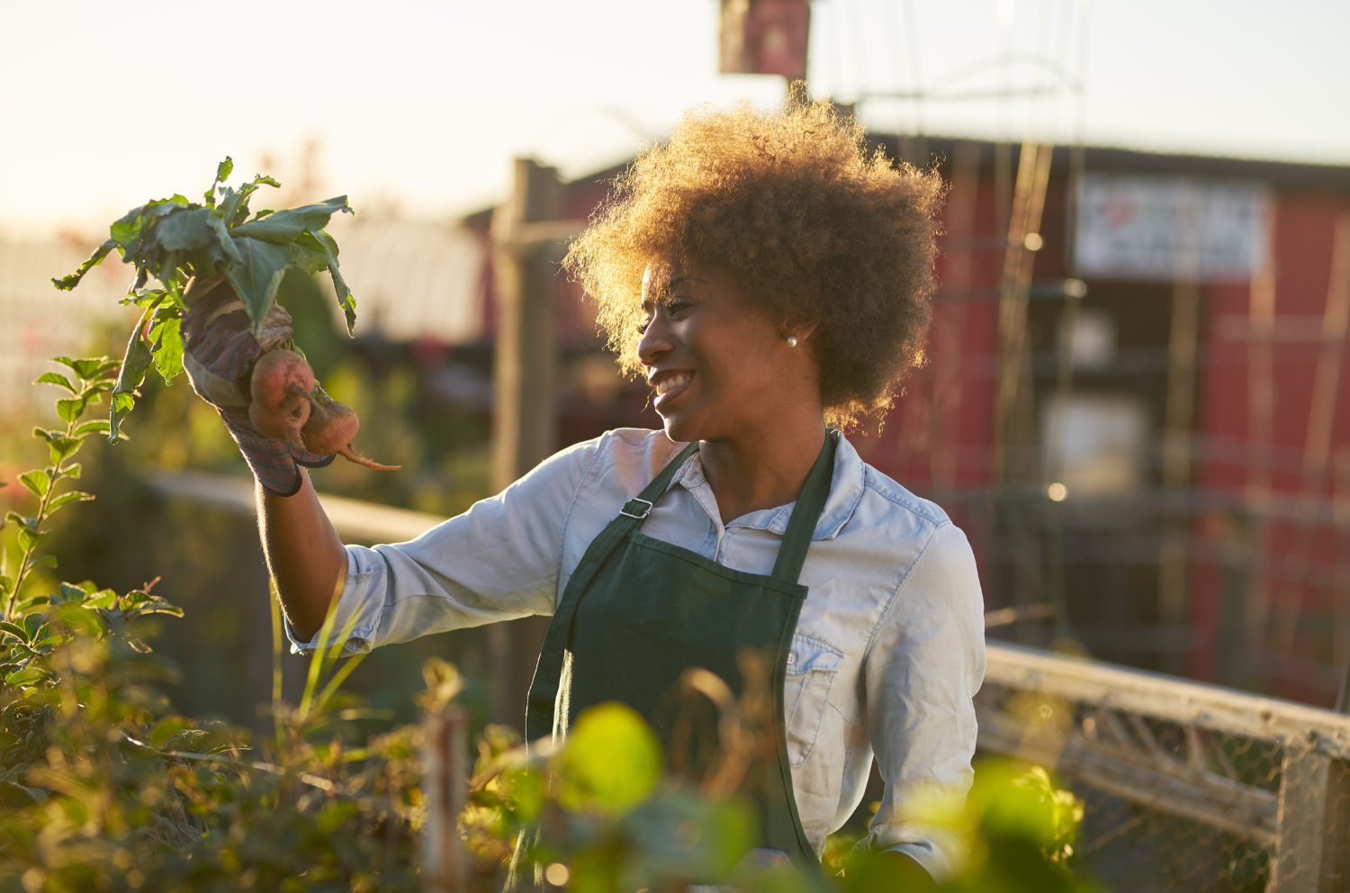 women holding radishes in an urban garden