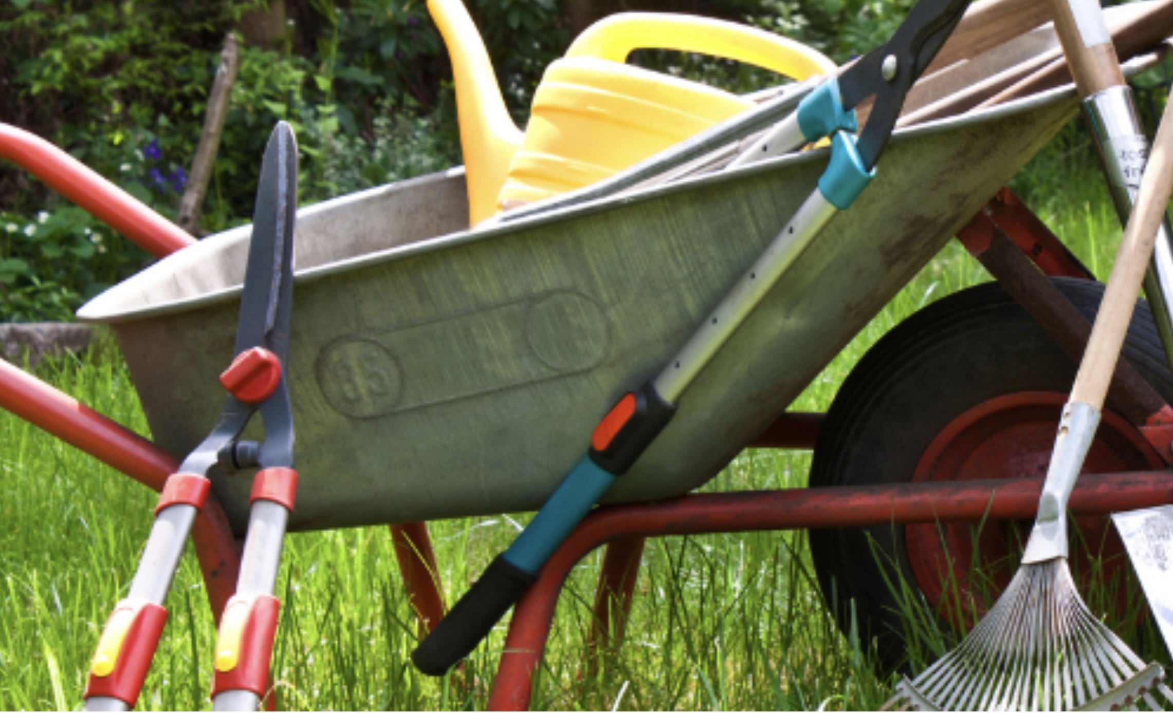 Selection of Gardening Tools in an Urban Garden