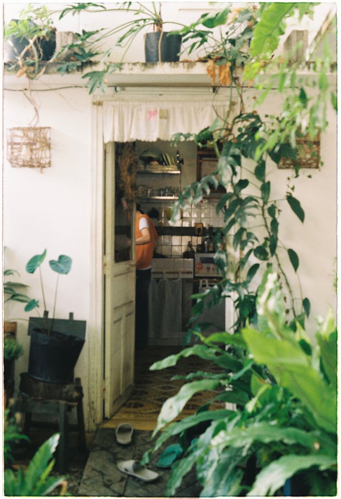 Plants around House Doorway
