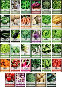 Packets of Fruit and Vegetable Seeds
